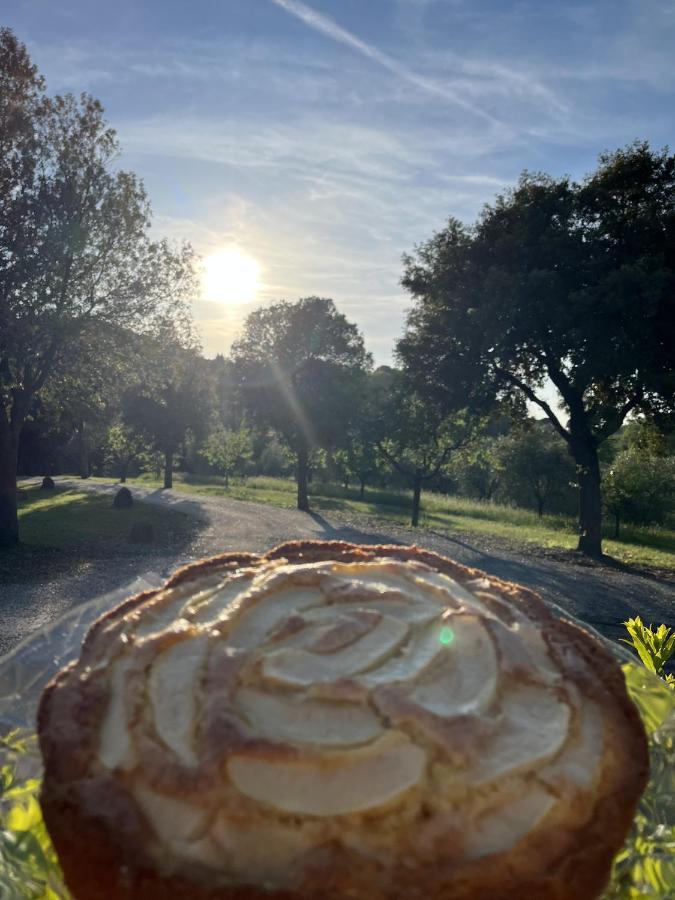 Il Gonzeto, Farm stay